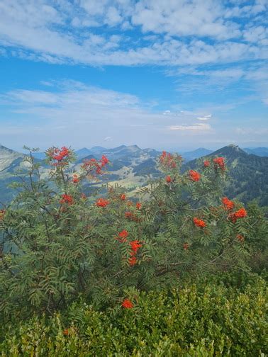 Bergaim Zwischen Schmittenstein Und Regenspitz Bergalm Inh Fam