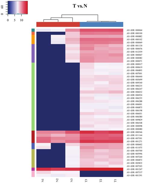 Heat Map Indicating The Expression Levels Of Various TRFs And TiRNAs