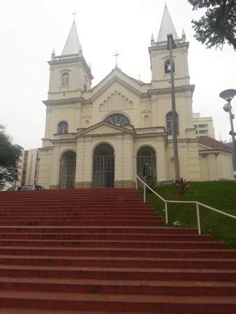 Catedral Metropolitana De Juiz De Fora Tripadvisor