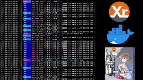 How To Mine XMR Through XMRig On P2Poll Mini With Local Remote Monero