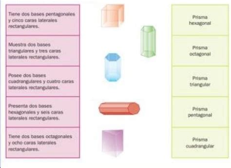 Relaciona Las Columnas Con Un Color Brainly Lat