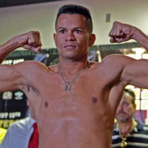 Jose Miguel Torres BoxRec