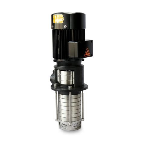 Gmvcp 2 Multistage Vertical Immersion Pump Rae Pumps