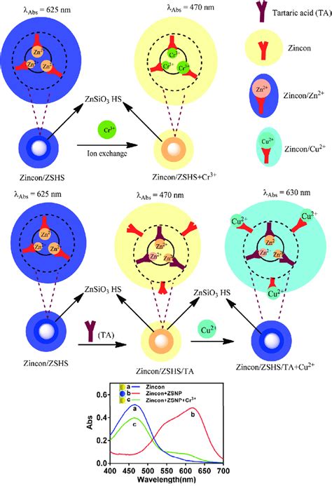 A Schematic Representation Of The Simultaneous Detection Of Cu 2 And Download Scientific