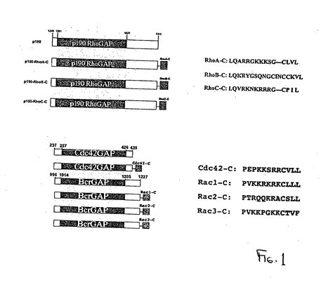 Increased White Blood Cells Patented Technology Retrieval Search