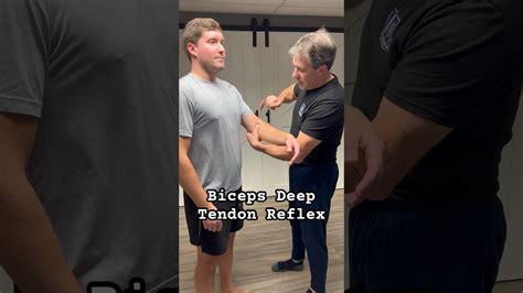 Biceps Deep Tendon Reflex Is Used To Identify A C5 Nerve Root