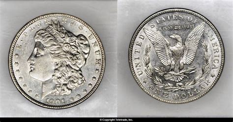 How To Grade Morgan Dollars Guide With Photo Examples