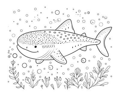 Whale Shark Coloring Pages