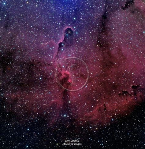 The Elephant Trunk Nebula. | Stocktrek Images