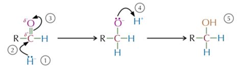 Aldehydes And Ketones Flashcards Quizlet