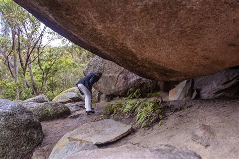 Bald Rock Station Hipcamp In Tenterfield New South Wales