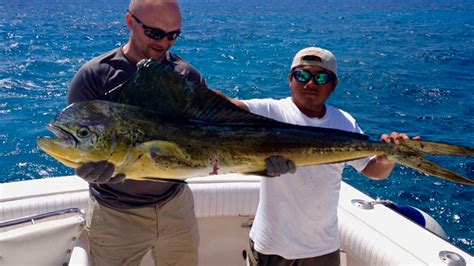 Fishing Cozumel Spearfishing Today