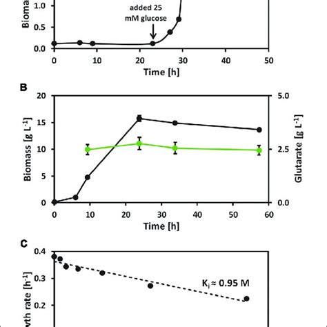 Growth Of C Glutamicum Wild Type With The Presence Of Glutarate A