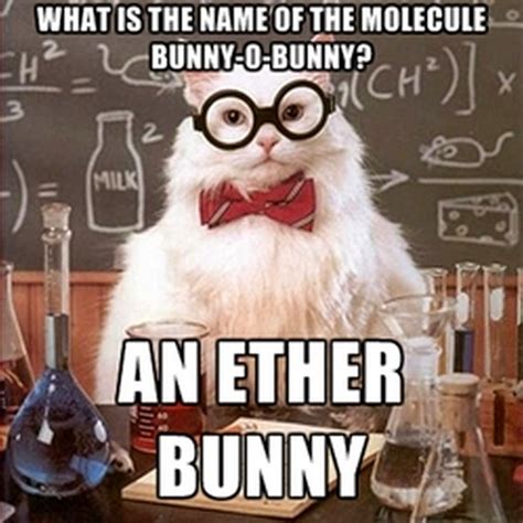 Chucks Fun Page 2 Chemist Cat Meme 15 Posters