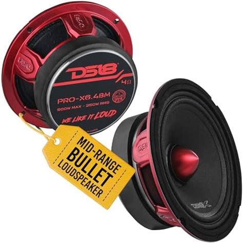 2 DS18 PRO X6 4BM 600W 6 5 Midrange Full Range Speakers Loudspeaker