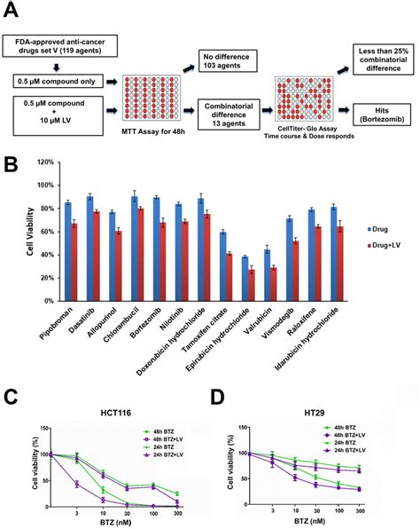 Bortezomib And Leucovorin Reduce Cell Viability Of Hct116 And Ht29