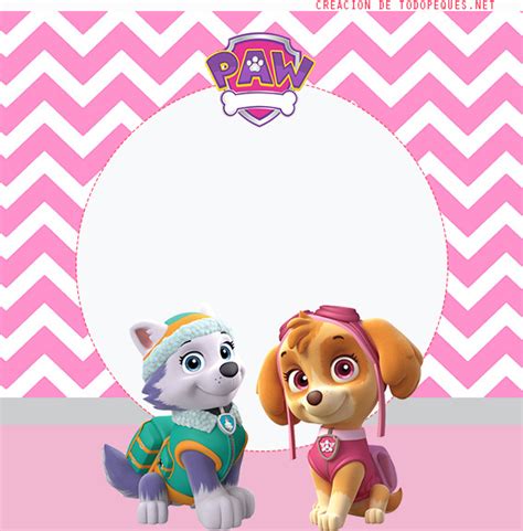 Tarjetas Skye Paw Patrol Everest Todo Peques