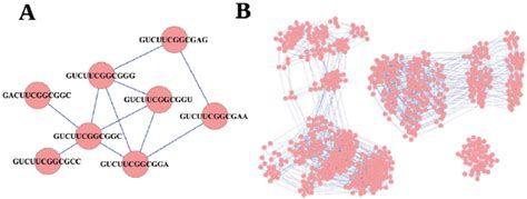 Construction Of Neutral Networks In A We Show An Example Of How Download Scientific Diagram