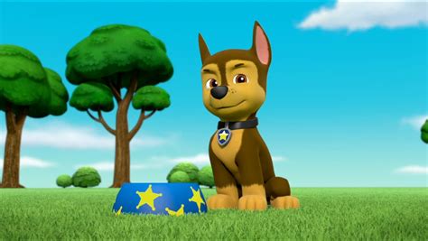 Chase Gallery Mission Paw Quest For The Crown Paw Patrol Wiki Fandom