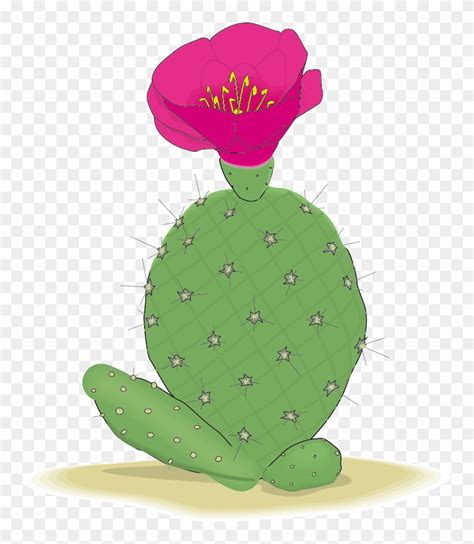 Cactus Outline Vector at Vectorified.com | Collection of Cactus Outline ...