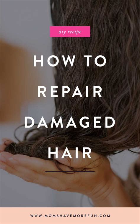 Repair Dry Brittle Hair Heat Damaged Hair Damaged Hair Damaged Hair