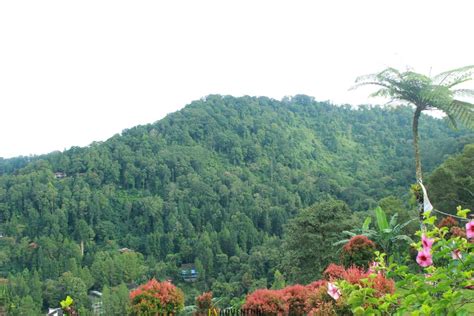 5 TEMPAT OUTBOUND PUNCAK BOGOR Eagle Hill Mega Mendung Bogor 7