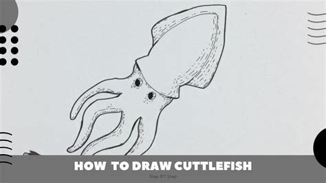 How To Draw Cuttlefish Easy YouTube