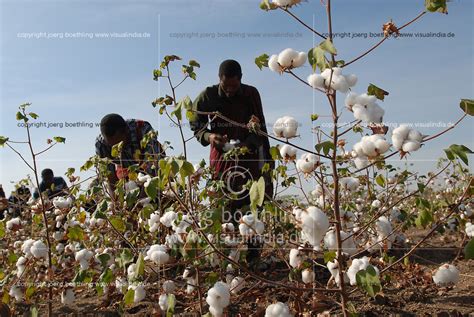 Tanzania BioRe Organic Cotton JOERG BOETHLING Photography Pictures