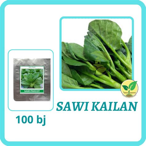 Jual Benih Biji Seed Kailan 100 Biji KEMASAN ALUMINIUM Shopee Indonesia