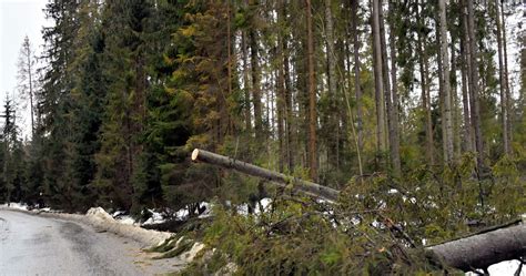 Silny wiatr na południu Polski Ostrzeżenie IMGW Pogoda w INTERIA PL