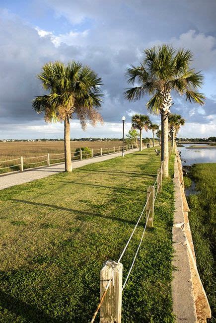 Pitt street bridge – Artofit