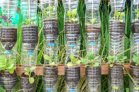 Cómo hacer un huerto vertical con botellas recicladas