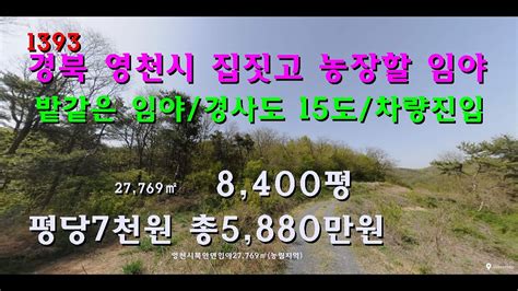 번호 1393 경북 영천시 밭같은 임야 급매물 평당7천원 Youtube