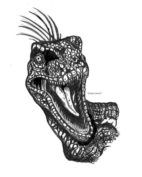 Raptor-Jurassic Park by RaptorClaw227 on DeviantArt