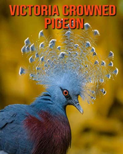 Victoria Crowned Pigeon: Fun Learning Facts About Victoria Crowned Pigeon by Sybil Edward ...