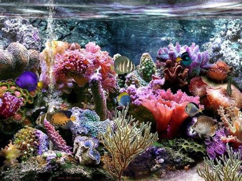 These Underwater Flowers Are Really Beautiful