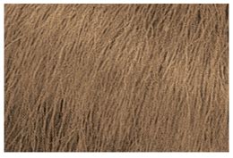Matrix SoColor Dream Age DA 507NG Dark Blonde Neutral Gold 3 Oz