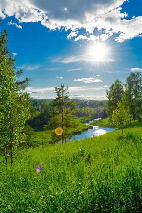 Sunshine In Blue Sky Stock Photo Image Of Blue Trees 74443758