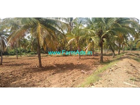 Acres Coconut Farm Land For Sale At Chikanayakanahalli Tumkur