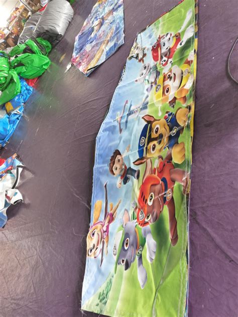 Paw Patrol Jumping Castle With Waterslide Gowild Castles And Party Hire