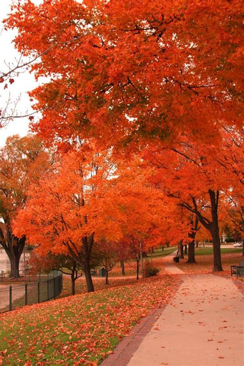 Lake Geneva In Autumn Stock Photo Image Of Path Geneva 7872198