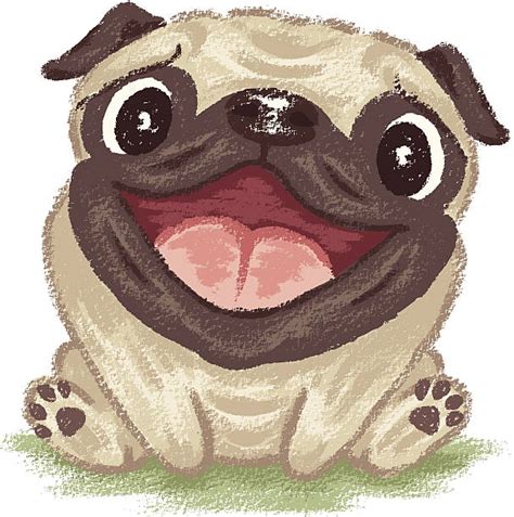 Best Pugs Illustrations Royalty Free Vector Graphics And Clip Art Istock