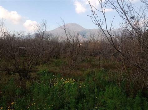 Terreno Agricolo Via Zabatta Terzigno Rif Immobiliare It