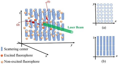 Typical Model Of The Optically Anisotropic Medium That Contains Download Scientific Diagram