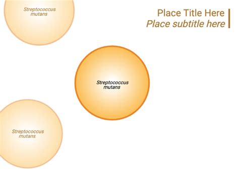 Streptococcus Mutans Layout BioRender Science Templates