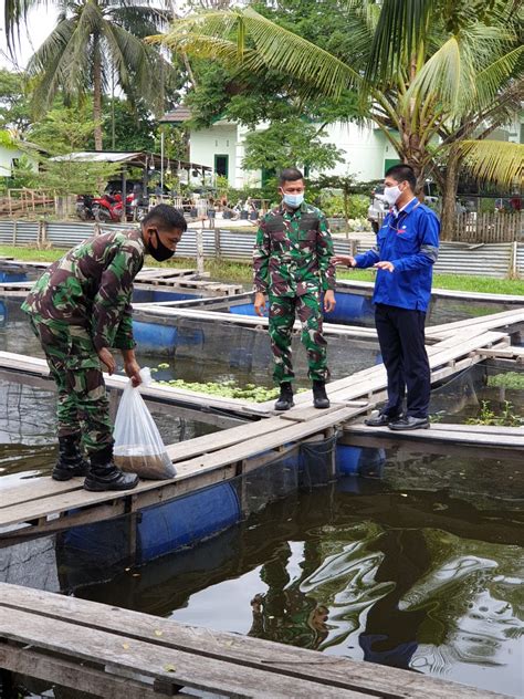 Dukung Ketahanan Pangan Pltu Tembilahan Serahkan Bibit Lele Melalui