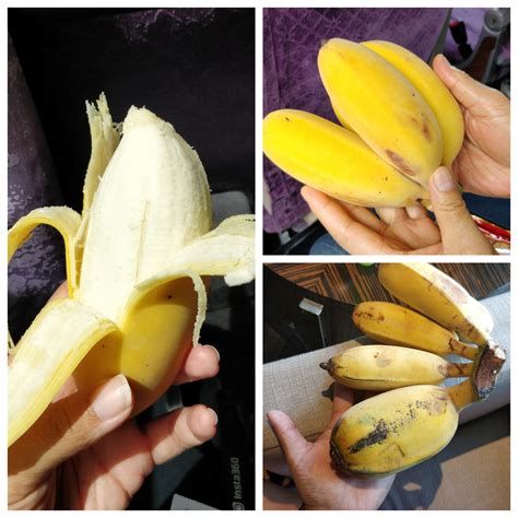 This Strange Apple Banana I Had While In China It Was Creamy And