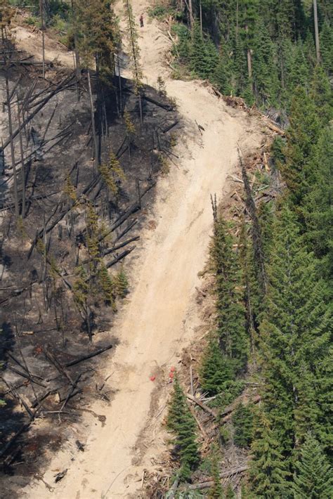 The Purpose Of Test Ignitions On The Connell Ridge Wildfire Bc