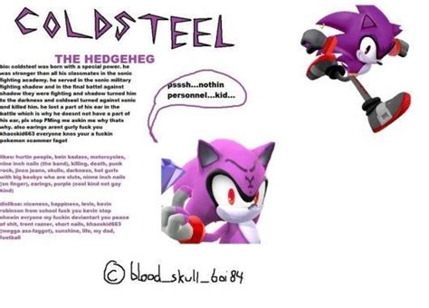 Coldsteel The Hedgeheg Wiki Sonic The Hedgehog Amino