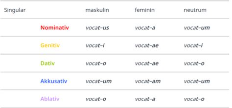 Latein Basics Karteikarten Quizlet